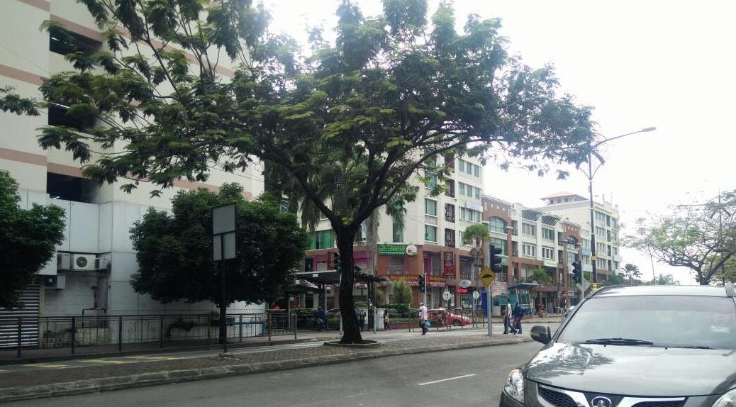 بيت شباب Escape Backpackers Kk كوتا كينابالو المظهر الخارجي الصورة